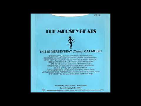 The Merseybeats — The Merseybeats - This Is Merseybeat (7" mix)