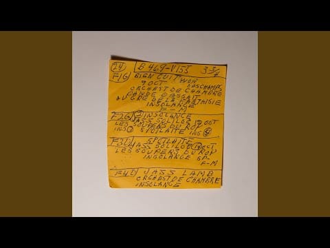 Mac DeMarco — Here Comes The Cowboy (Demo)