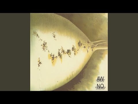 Lambchop — The Problem