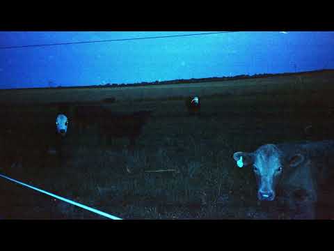 waveform* — waveform* - Antarctica (Full Album Stream)