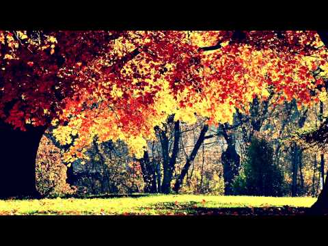DJ Banel — Behind Blue Eyes & Krusseldorf - Autumn(Roger Rabbit Remix)