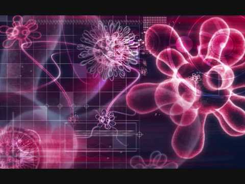 Marc Romboy Vs. Stephan Bodzin — Marc Romboy vs. Stephan Bodzin - Map