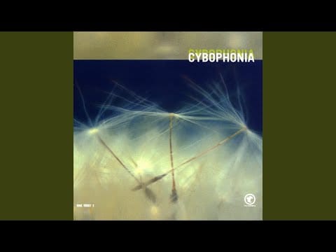 Cybophonia — Je Parl Pà Fransé