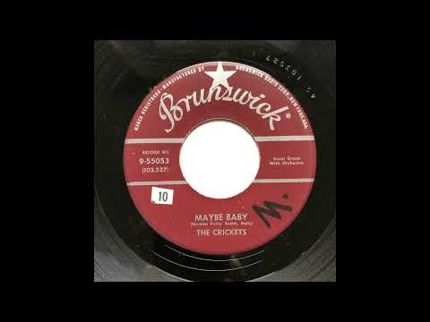 The Crickets (2) — The Crickets - Maybe Baby