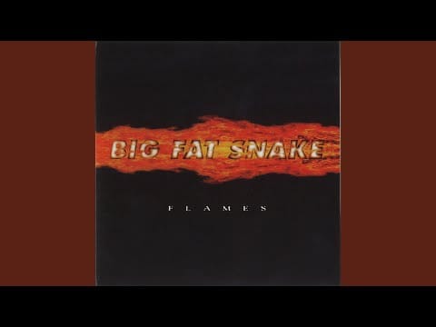 Big Fat Snake — Someone Like You