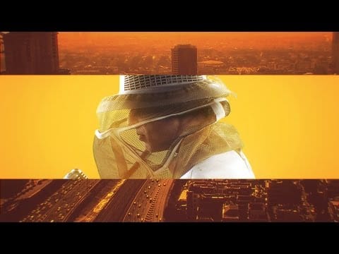 Assaf Amdursky — אסף אמדורסקי ✪ מגדלים