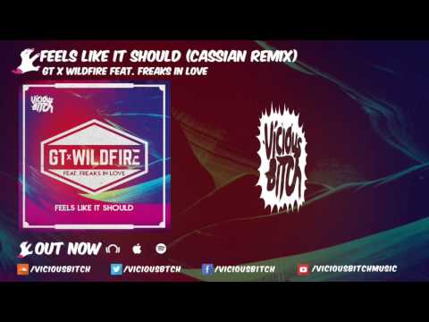 Groove Terminator — GT & Wildfire feat. Freaks In Love - Feels Like It Should (Cassian Remix)