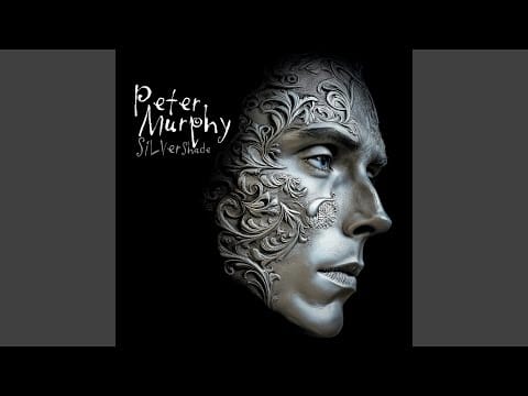 Peter Murphy — Time Waits