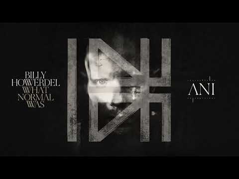 Billy Howerdel — Billy Howerdel - Ani (Visualizer)
