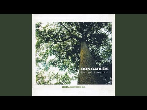 Don Carlos — Someone Gotta Found Love