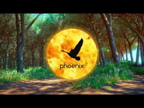 Shpongle — Shpongle - Beija Flor