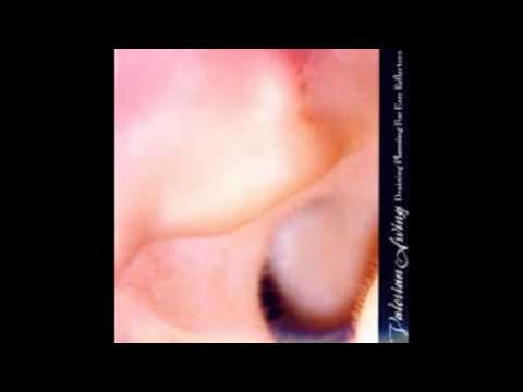 Valerian Swing — Valerian Swing - Draining Planning For Ears Reflectors (FULL ALBUM)