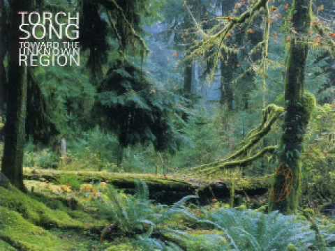 Torch Song — Blue Night - William Orbit (Torch Song)