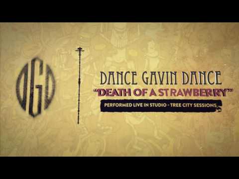 Dance Gavin Dance — Dance Gavin Dance - Death Of A Strawberry (Tree City Sessions)