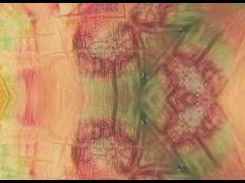Brian Ellis — Brian Ellis - Para Ti (music video)