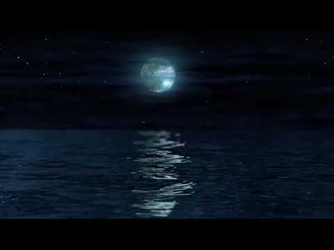 Klaus Schulze — Klaus Schulze  - Bellistique