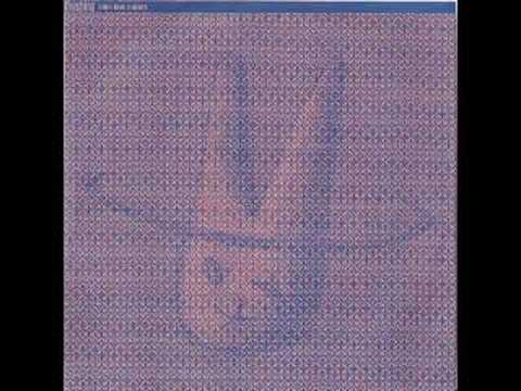 The Shins — The Shins - We Built a Raft and We Floated