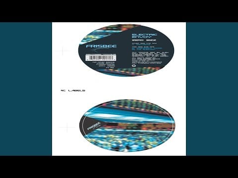 Electric Envoy — The Question