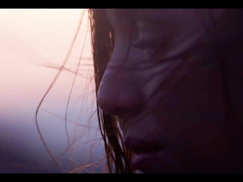 Lykke Li — I Never Learn