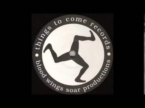 The Horrorist — The Horrorist - Flesh Is The Fever - Manu Le Malin Mix