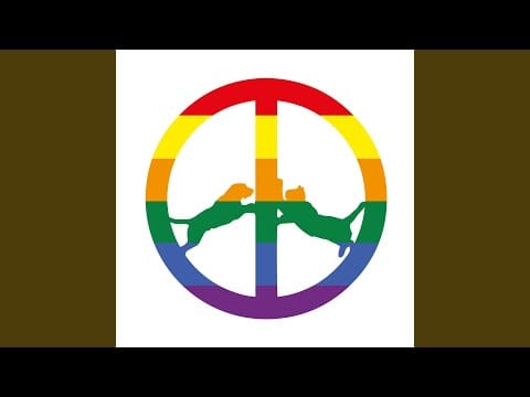 Hype Williams (2) — Ask Yee