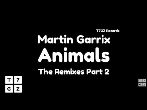 Martin Garrix — Martin Garrix - Animals (Botnek Short Edit) (Audio)
