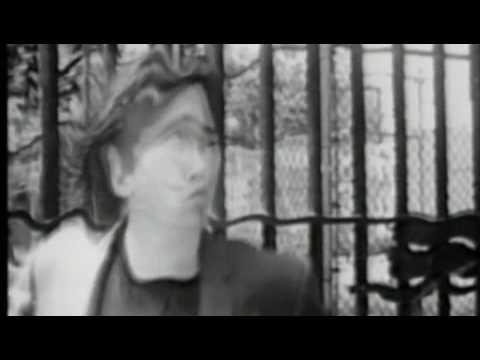 Alice Donut — Alice Donut - Medication video