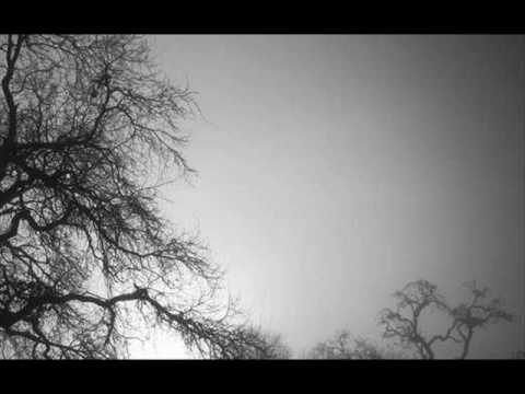 The Paradise Motel — The Paradise Motel - Four Degrees