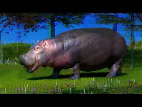 The Lazy Eyes — Hippo