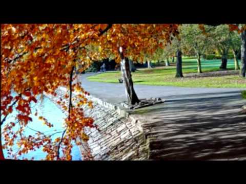 Liberace — LIBERACE - TRACES
