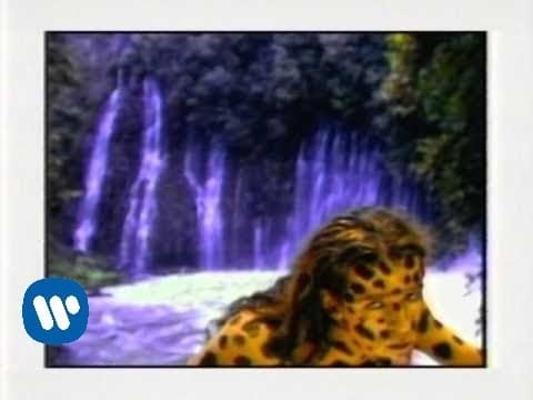 Cafe Tacuba — Café Tacvba - Rarotonga (Video Oficial)