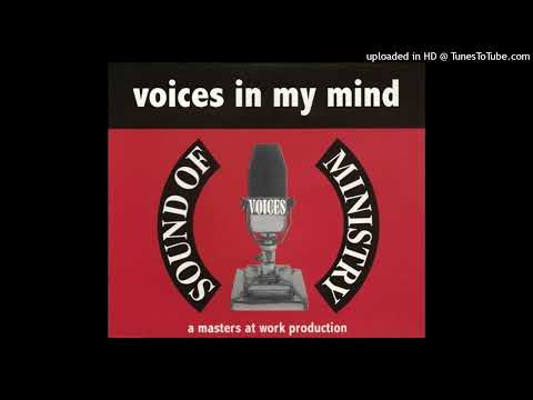 Voices — Voices - Voices In My Mind (Cosmic Mix) 1994