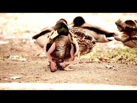 State Of Salazar — State of Salazar - Lost My Way With You (Official Video 2013)