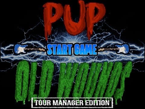 PUP — OLD WOUNDS