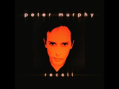 Peter Murphy — PETER MURPHY - Big and Tiny (live) [from the 1998 'Recall' ep] audio