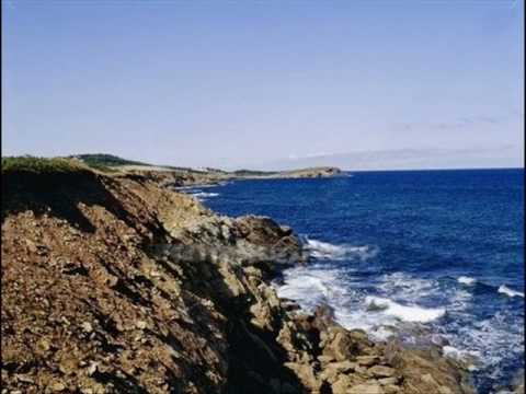 Untamed Youth — Sea And Shore - Untamed Youth