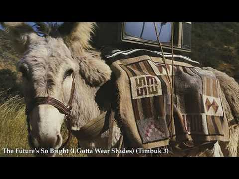 Timbuk 3 — The Future's So Bright (I Gotta Wear Shades) Timbuk 3 [HQ]