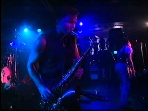 Johnny Diesel & The Injectors — Johnny Diesel and the  Injectors - live - Since I Fell For You