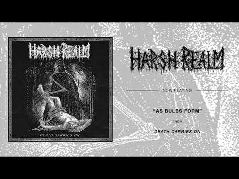 Harsh Realm (4) — HARSH REALM "As Bulbs Form" (Death Carries On LP 2024)