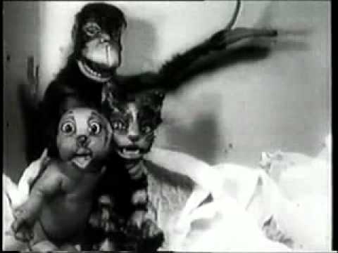 Death Sentence: Panda! — Death Sentence: Panda! - Animals Hate You