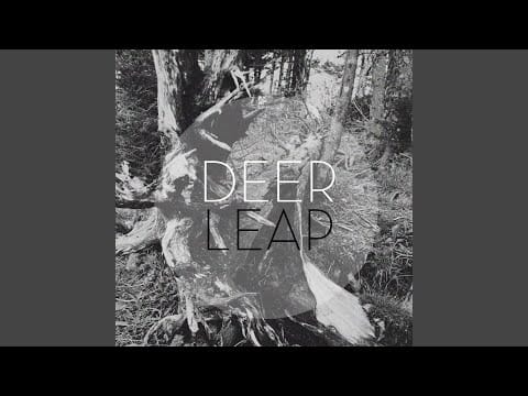 Deer Leap — Here