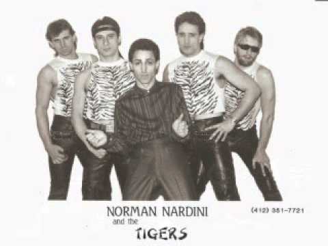 Norman Nardini And The Tigers — NORMAN NARDINI and the Tigers - "High Times"