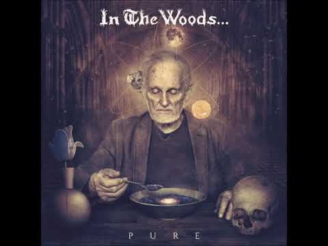 In The Woods... — In the Woods... - Pure [Full Album] 2015