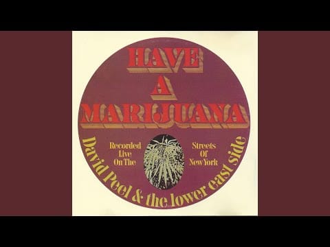 David Peel & The Lower East Side — I Do My Bawling In The Bathroom (German Version)