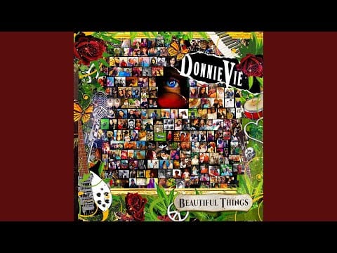 Donnie Vie — Plain Jane