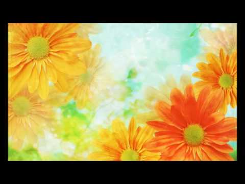Christian Adam — Christian Adam - Viens Chez Moi