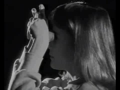 Bolland & Bolland — Bolland & Bolland - The Wall Came Tumbling Down (Original Video)