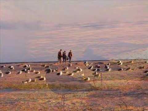k.d. lang — Hymns of the 49th Parallel - KD Lang