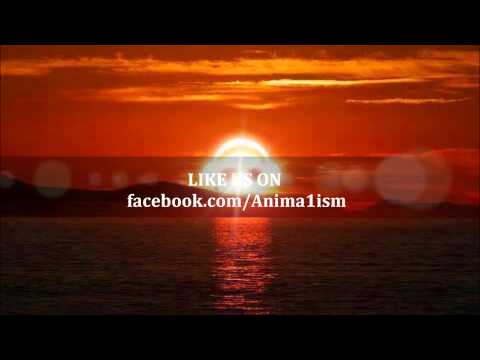 Ferreck Dawn — Ferreck Dawn & Redondo - Tattoo Girl (Daniel Dubb Remix)
