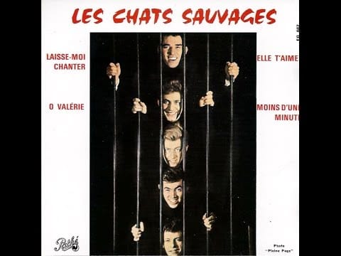 Les Chats Sauvages — Les chats Sauvages   Moins d'une minute     1964